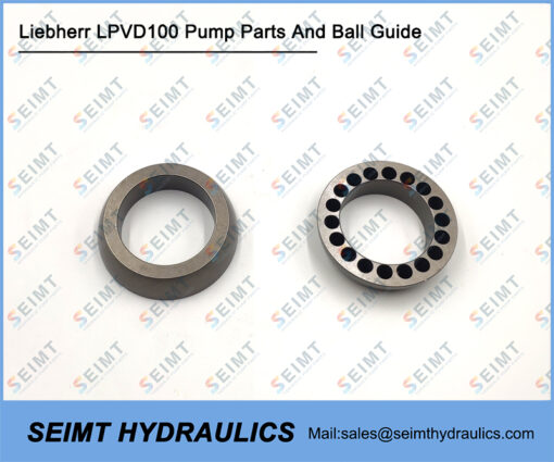 Liebherr LPVD100 Pump Parts And Ball Guide