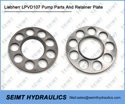 Liebherr LPVD107 Pump Parts And Retainer Plate