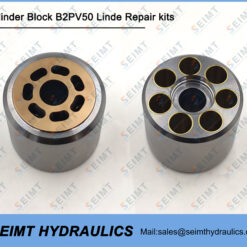 Cylinder Block B2PV50 Linde Repair kits